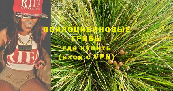 дживик Магас