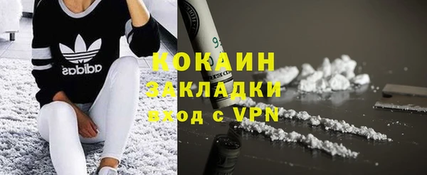 ГАЛЛЮЦИНОГЕННЫЕ ГРИБЫ Липки