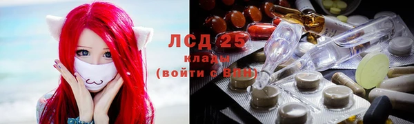 ГАЛЛЮЦИНОГЕННЫЕ ГРИБЫ Липки