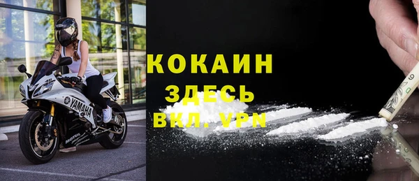ГАЛЛЮЦИНОГЕННЫЕ ГРИБЫ Липки