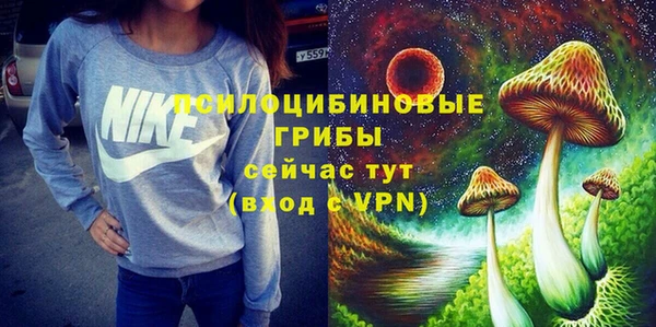 a pvp Пересвет