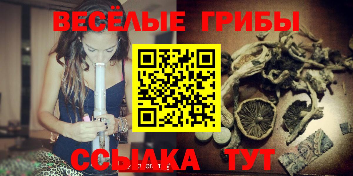 Чернушка  Псилоцибиновые грибы прущие грибы  Галлюциногенные грибы мухоморы  Вход с VPN 