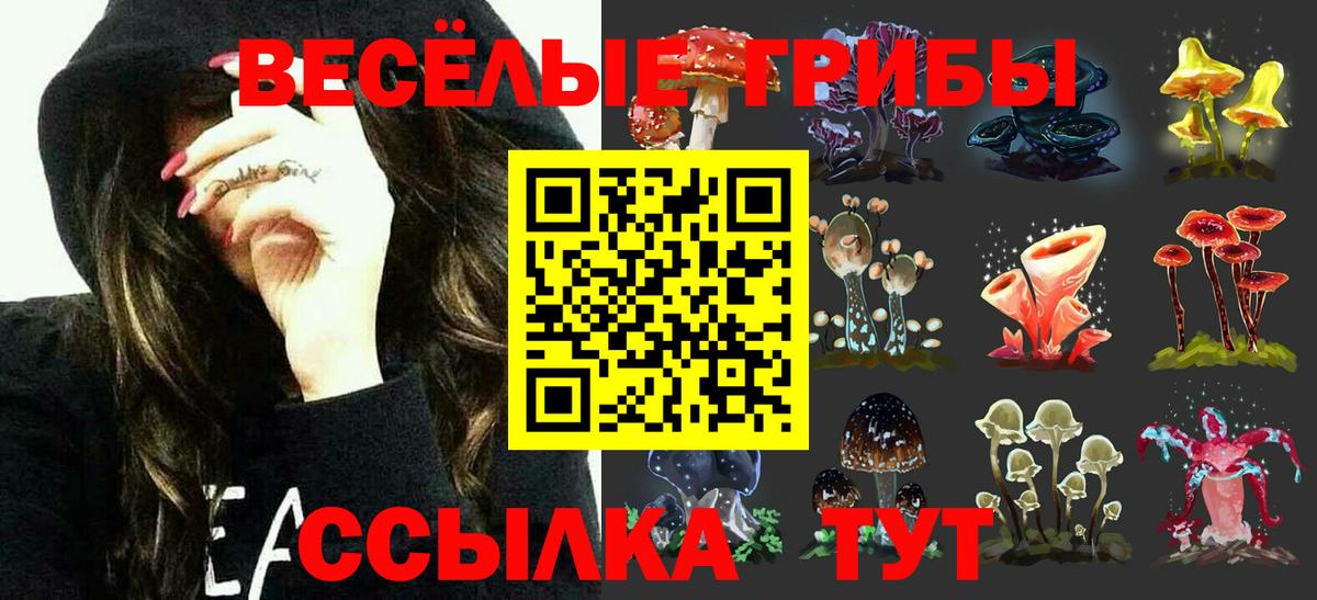 Псилоцибиновые грибы мицелий Чернушка